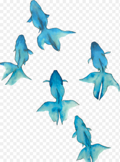 AVATAN PLUS - Социальный Фоторедактор